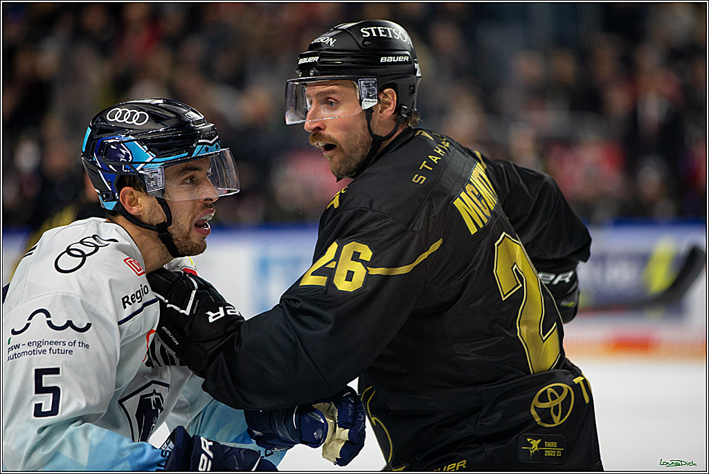 PENNY DEL;  Kölner Haie - ERC Ingolstadt; Köln, 25.11.2022